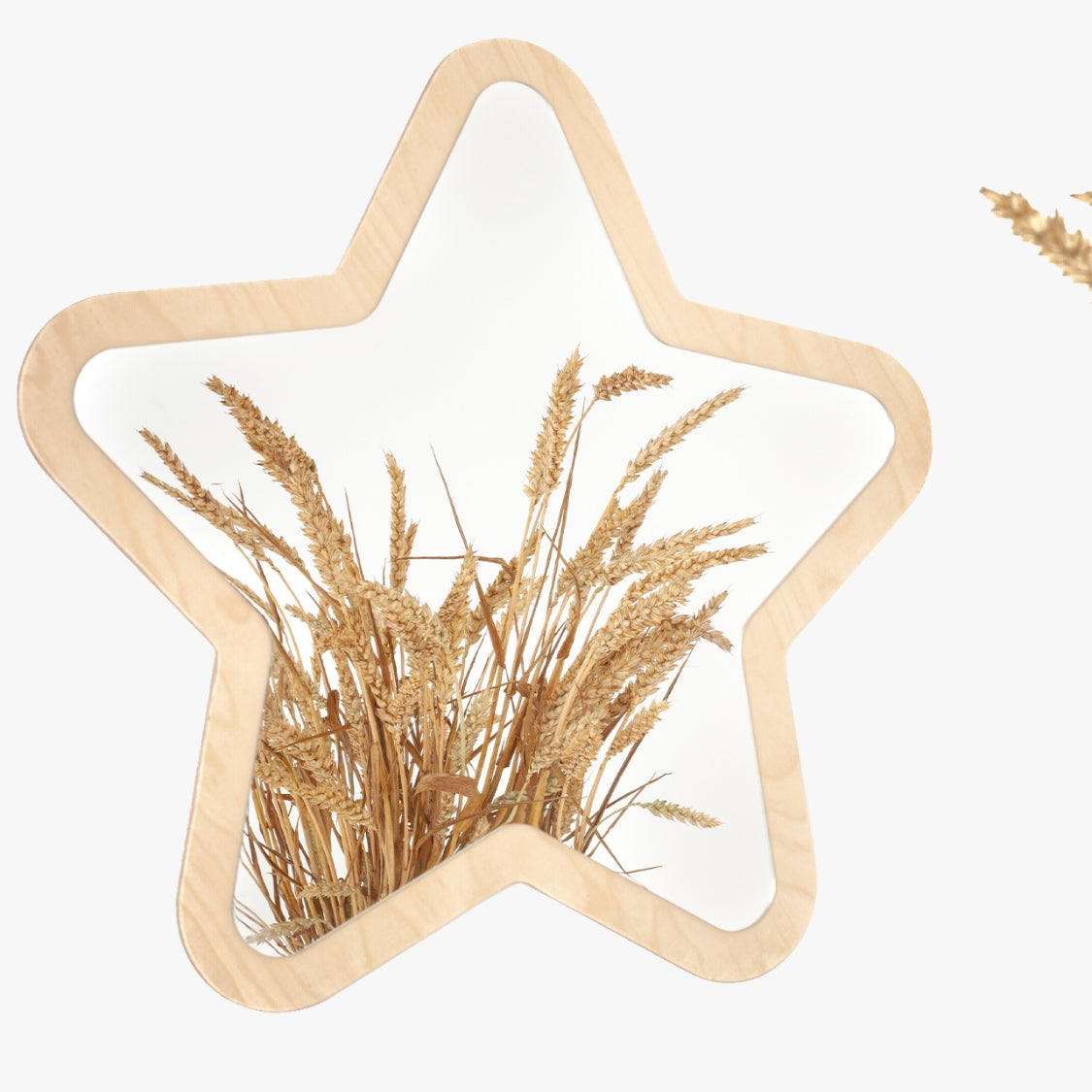 Kinderspiegel 'Stern'