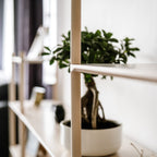 Modulares Familienregal - M | 'ISKORA' Kollektion - 2 Etagen - 25 cm - Juniorito