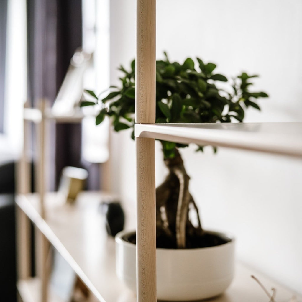 Modulares Familienregal - S | 'ISKORA' Kollektion - 2 Etagen - 25 cm - Juniorito