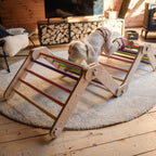 Verstellbares Kletterdreieck - Bunt - Juniorito