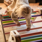 Verstellbares Kletterdreieck - Bunt - Juniorito