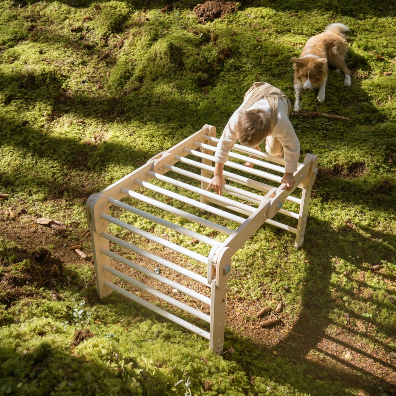 Verstellbares Kletterdreieck - Naturell - Juniorito